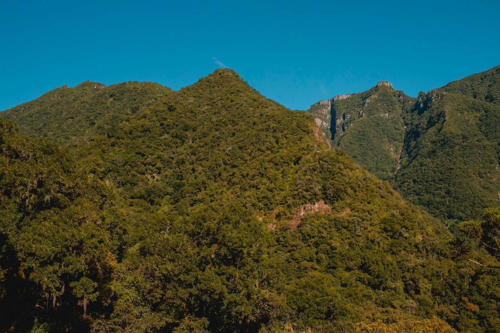 Pousada Bugio da Serra Hotel Novo Horizonte  Bagian luar foto